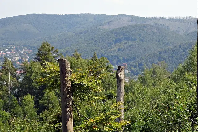 Blick auf Bad Harzburg und den Burgberg