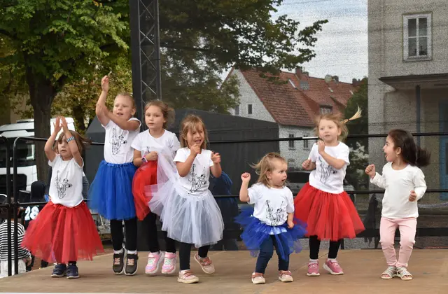 Die Minis der Eugenesen