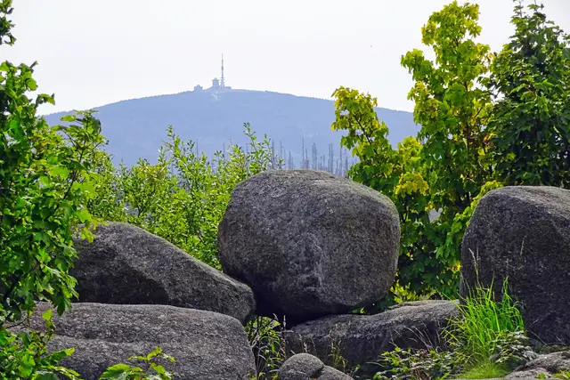 Blick vom Standort Kästehaus zum Brocken