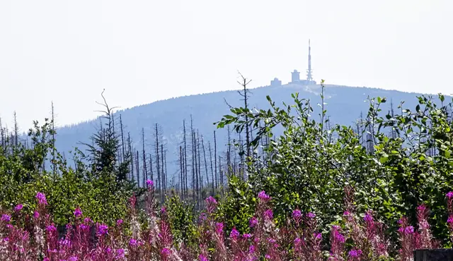 Blick von der Kästestraße zum Brocken