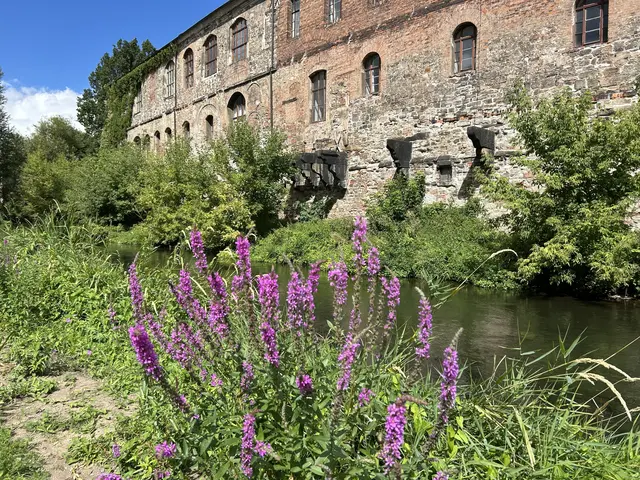 Teil der neuen Residenz