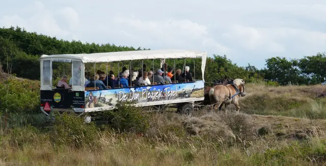 Ein paar Tage Kurzurlaub auf Texel - 2023