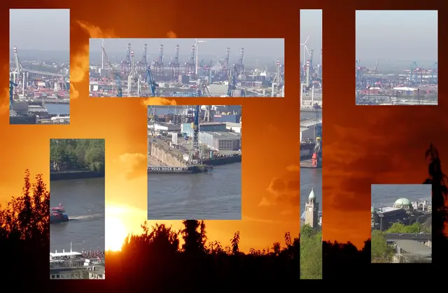 Iris - 1 Punkt - Hamburg
