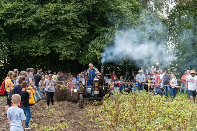 Ein Höhepunkt des Festes ist das Kartoffelroden und -klauben auf dem Museumsfeld | Foto: Matthias Meyer