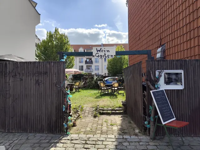 Der Weingarten, der zum Bistro gehört.