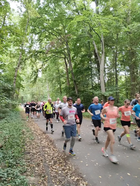 10 km-Lauf: Auf den ersten einhundert Metern.
