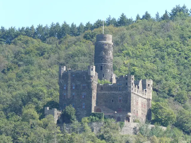 Burg Maus oberhalb von Wellmich