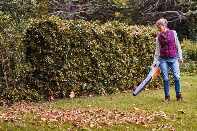 Mit einem Akku-Laubbläser lässt sich im Herbst Laub schnell zusammenblasen und dann zur weiteren Nutzung im Garten – als Kompost oder Mulch – aufnehmen.
 | Foto: djd-k/Andreas Stihl
