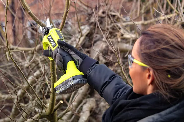 Beim Stutzen von Sträuchern entlastet eine elektrische Astschere die Hände. | Foto: djd-k/Ryobi/Paul Upward