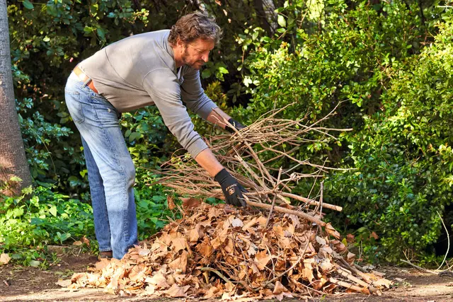Ein Haufen aus Laub und Totholz schafft Rückzugsräume für Igel und Co.. | Foto: djd-k/Andreas Stihl