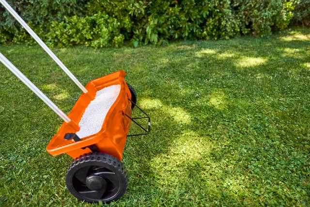 Mit einem Herbstdünger mit hohem Kaliumanteil kommt der Rasen gut durch die kalte Jahreszeit. | Foto: djd-k/Andreas Stihl