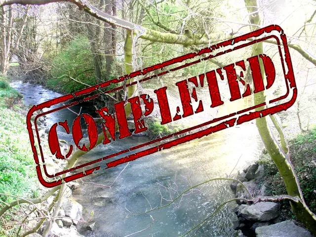 Susanne - 1 Punkt -  Düssel