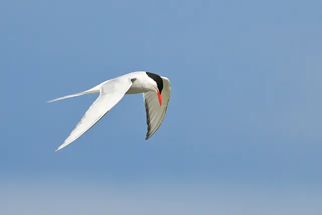 Foto: Copyright Andreas Schäfer