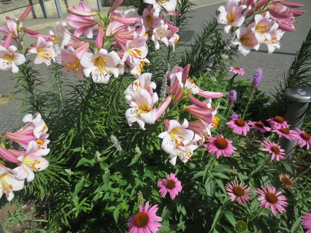 Blumen am Wegesrand. | Foto: Das sind meine Bilder