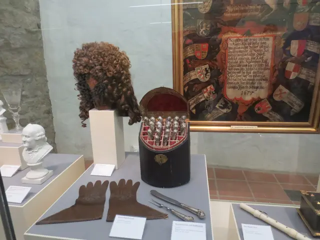 Alte Perücke | Foto: Das sind meine Bilder