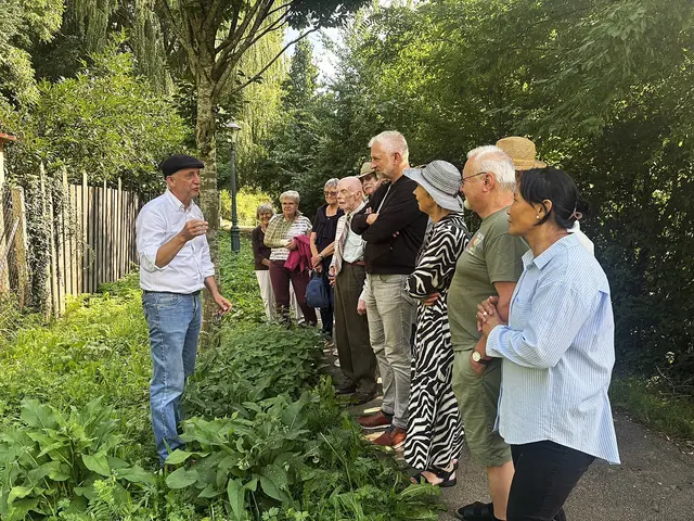Unterhalb der Stadtmauer kann Hannes Proeller auf wenigen Metern eine ganze Vielzahl von Heilpflanzen entdecken und ihre Wirkung erklären
