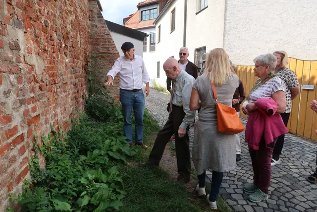 Hannes Proeller erklärt, welche Kräuter an der Stadtmauer wachsen, und welche Wirkung sie haben