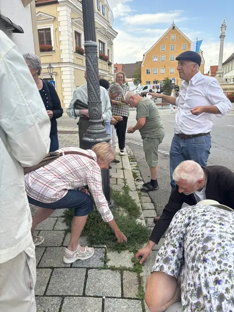 Wie geht das mit dem Wegerich gegen Mückenstich? Die Teilnehmer probieren das aktiv aus
