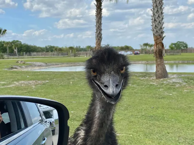 „Hey - ich will erst mein Recht am Bild geklärt haben!“