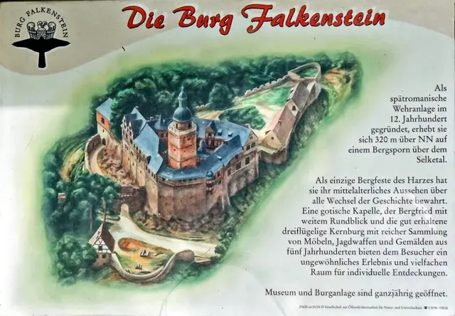 die Burg Falkenstein als Namensgeber der Stadt Falkenstein (Archivbild)