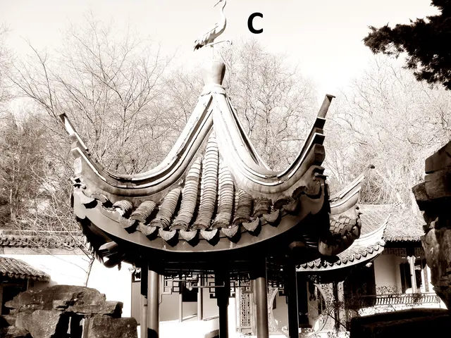 Susanne - 1 Punkt - Chinesischer Garten