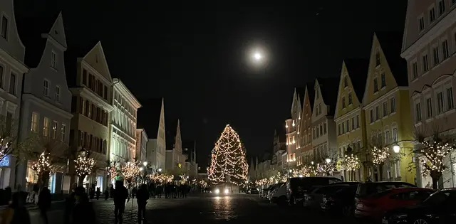 Die Stadt Günzburg sucht wieder Baumspenden zur Weihnachtsdekoration. | Foto: Michael Lindner/Stadt Günzburg