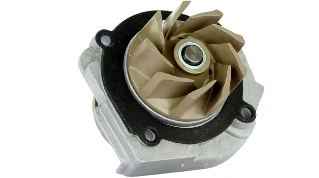 Nicole - 1 Punkt - Wasserpumpe