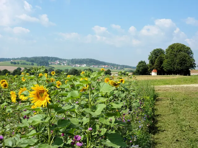 Auf dem Weg zur Xaveri-Kapelle mit Blick auf Schönleiten | Foto: Dr. Hubert Raab