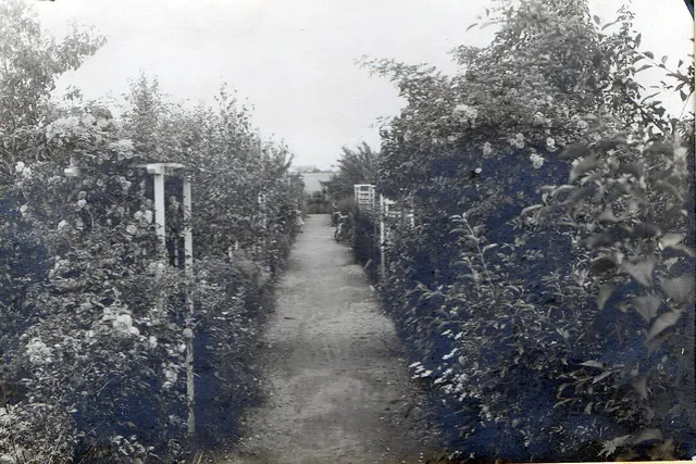 1938