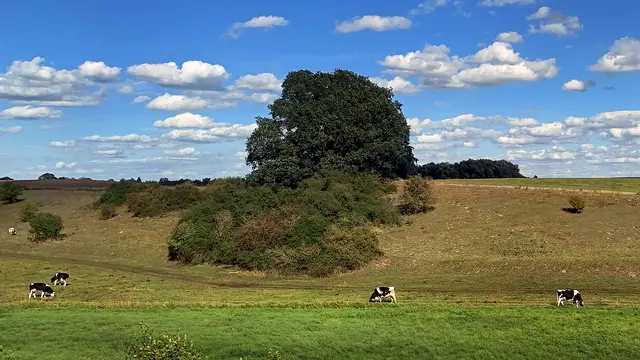 Die hügelige Landschaft zeigt im Spätsommer eine besonders schöne Atmosphäre im Übergang zum Herbst. Foto: Helmut Kuzina