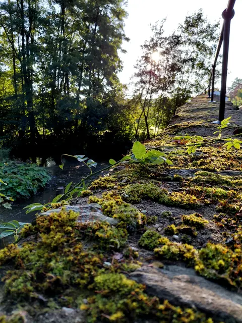 Foto: Karin H.
