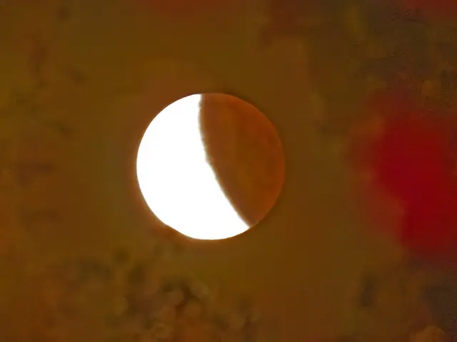 Foto durch ein Loch zwischen vielen Baum-Ästen 