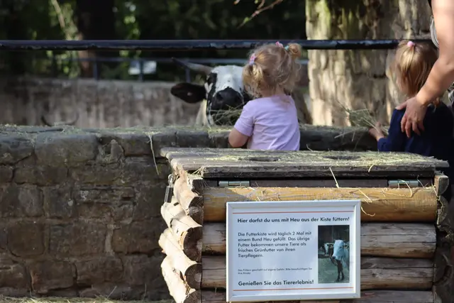 Highlight für Kinder