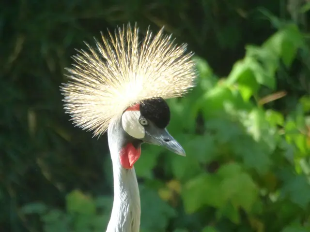 Willkommen im Erlebniszoo Hannover