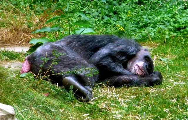 Jetzt erst mal eine Pause machen 