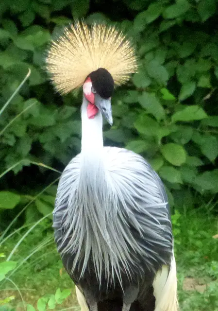 Danke für den Besuch. Tschüss bis nächstes Mal.