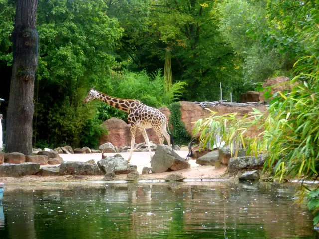 Gut vom Boot zu sehen