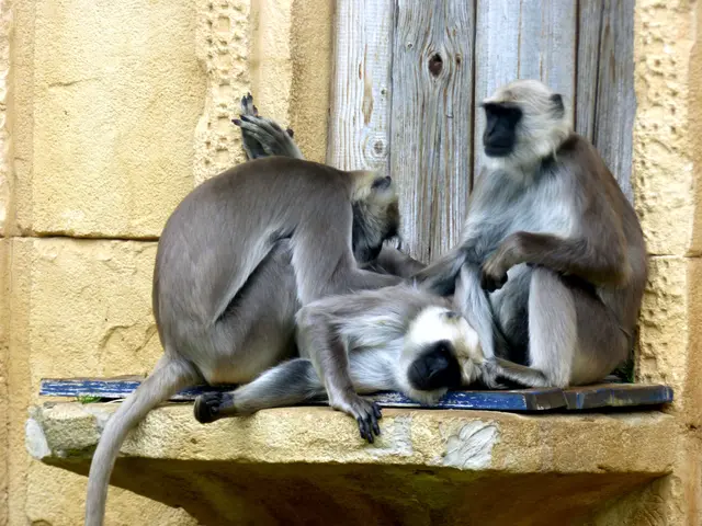 Kuscheln ist angesagt