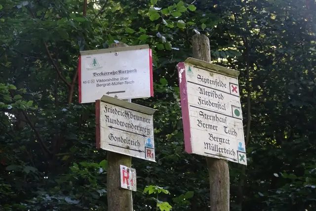 Schilderbaum an der Beckstraße