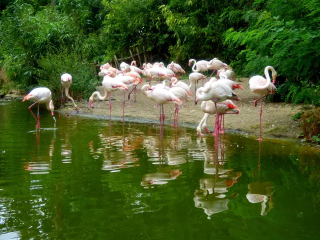 Gibt es was im Wasser?