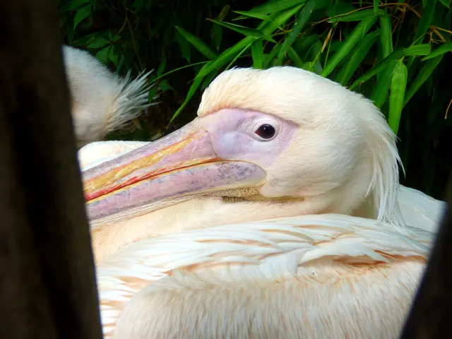 Ich verrate es nicht
