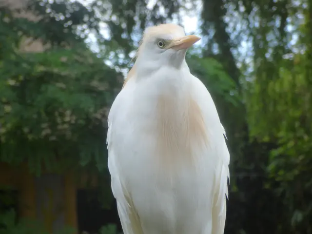 Er postet sich extra