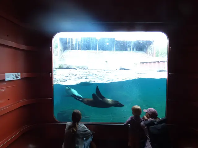 Ob die uns auch sehen?