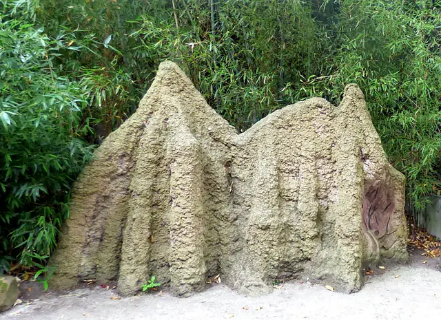 Noch am Termitenhügel vorbei