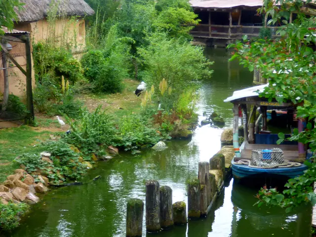 Langsam geht es zurück