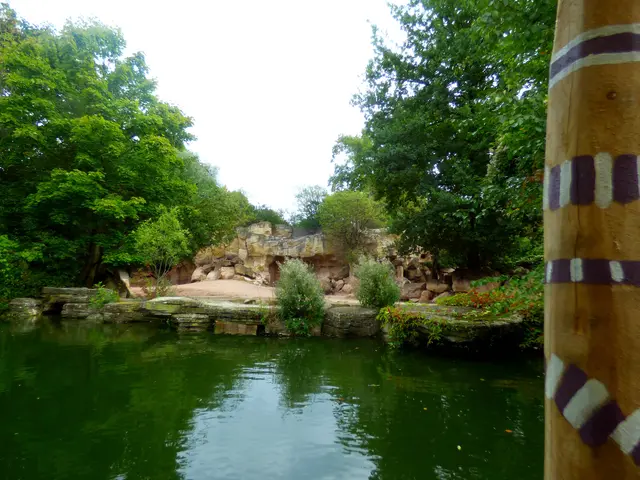 Weiter gehts zum Nashorn