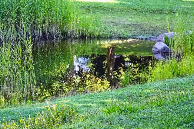 Teich im Kurpark