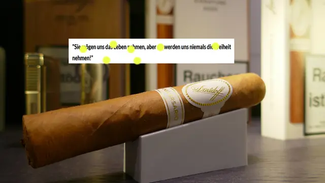 Nicole - 1 Punkt - Braveheart