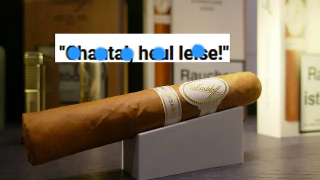 Iris - 1 Punkt - fuck ju Göthe