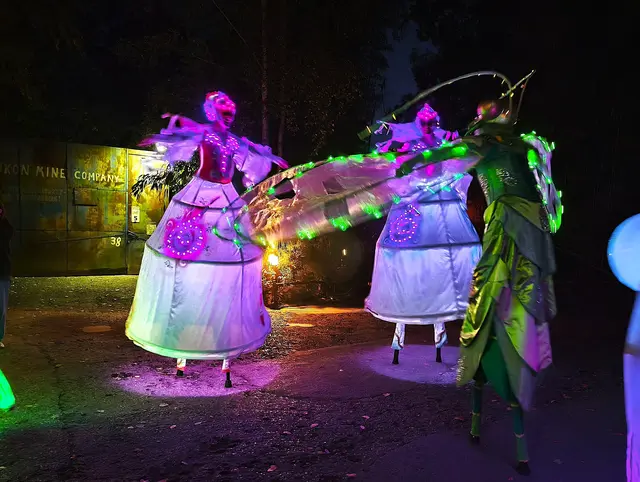 Traumhafte Stimmung bei der Nacht der Erlebnisse im Zoo Hannover | Foto: Shima Mahi